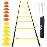 Ohuhu Speed Agility Ladder Training Set - 12 Rung 20ft Agility Ladder and 12 Field Cones,4 Steel Stakes & Carrying Bag,Footwork Equipment for Soccer Football Boxing Drills