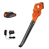 BLACK+DECKER LSW221AM LSW221 20V MAX Lithium Cordless Sweeper, Pack of 1