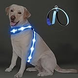PZRLit LED Light Up Dog Vest Harness Rechargeable, Soft Padded, Adjustable & Reflective Lighted Dog Harness Waterproof, Glow Dark Dog Light Harness for Camping Night Safety Walking, Medium Blue