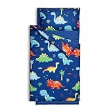 Cokouchyi Toddler Nap mat, Toddler Sleeping Bag with Carrying Bag and Removable Pillow, Measures 53 x 21 x 1.5 Inches, Dinosaur Kids Sleeping Bag, Ideal for Daycare and Preschool, Blue