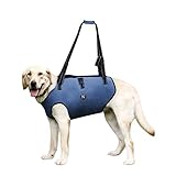 Coodeo Dog Lift Harness, Pet Support & Rehabilitation Sling Lift Adjustable Padded Breathable Straps for Old, Disabled, Joint Injuries, Arthritis, Loss of Stability Dogs Walk (Blue, XL)