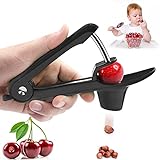 Cherry Pitter,Cherry Seed Remover Olives Pitter Tool with Space-Saving Lock Design,Multi-Function Fruit Pit Remover for Making Cherry Jam ( Stainless Steel / Heavy-Duty)