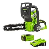 Greenworks 40V 12inch Chainsaw, 2.0 Battery & Charger Included, 2000219