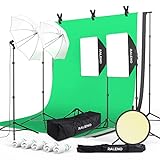 RALENO® Photography Lighting Kit, 8.5 x 10ft Backdrop Stand with Green Screen, 5 x 85W CFL 5500K Light Bulb with Umbrellas for Product, Portrait and Video Shoot Photography