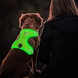 Tripolaco Light Up Dog Harness, High Visibility Led Dog Harness for Night Safety, USB Rechargeable Flashing Dog Harness for Night Walking, Glowing Dog Harness for Small Medium Large Dogs (Green, M)