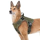 rabbitgoo Tactical Dog Harness for Large Dogs, Heavy Duty Dog Harness with Handle, No-Pull Service Dog Vest Large Breed, Adjustable Military Dog Vest Harness for Training Hunting Walking, Green, M