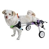 HeoBam Dog Wheelchair - for Small Dog-Adjustable Dog Wheelchair for Hind Legs Rehabilitation ，Convenient Dog Wheelchair (XS(B))