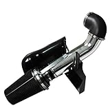 BLACKHORSE-RACING 4' Cold Air Intake System Kit with Heat Shield Filter Compatible with Chevy GMC 1999 2000 2001 2002 2003 2004 2005 2006 V8 4.8L/5.3L/6.0L(Black)