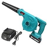 Abeden Cordless Leaf Blower,2-in-1 Electric Handheld Sweeper/Vacuum with 18V 2.0Ah Lithium Battery for Blowing Leaf,Cleaning Dust,Small Trash,Car,Computer Host