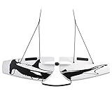 Subwing - Fly Under Water - Towable Watersports Board for Boats - 1, 2, 3, 4 Person Tow - Alternative Pull Behind to Water Skiing, Flying Tubes & Tube Floats - Best Boat Accessories
