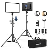 RALENO 2 Packs LED Video Light and 75inches Stand Lighting Kit, CRI 95+ Photography Lighting with 8000mAh Built-in Battery & LCD Display, Studio Lights for TikTok, YouTube, Live Streaming, Videography