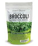Broccoli Seeds for Sprouting Kit and Microgreens Non-GMO, Heirloom Bulk 1 Pound Resealable Sprouts Bag by Gardeners Basics