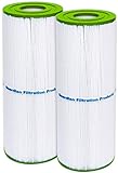 Guardian Filtration Products 413-212-02 2-Pack Pool and Spa Filter Cartridge Replacement for Pleatco PRB50IN, Unicel C-4950, Filbur FC-2390 | 413-212-02 (White Blue or Green)