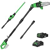 SOYUS Pole Saw 8-Inch Cordless and 18-Inch Pole Hedge Trimmer 2-in-1, 15-Foot Max Reach Pole Saw for Tree Trimming, 16ft/s Speed, Auto Oiling, Multi-Angle Pole Chainsaw with 2.0Ah Battery & Charger
