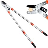 LOOBMBNS Extendable Anvil Loppers, Branch Cutter Tree Trimmer w/Compound Action, 26-40' Heavy Duty Telescopic Tree Pruner, Handle Adjustment, 2 inch Clean Cut Capacity, Chop Thick Branches Effortless