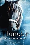 Thunder the Wonder Horse