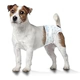 Four Paws Wee-Wee Disposable Dog Diapers Small (12 Count)