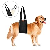 Dog Lift Support and Rehab Harness for Weak Rear Legs, Soft Sling Assist The Dog Who are Senior, Injured, Disabled and After ACL Surgery (Black)