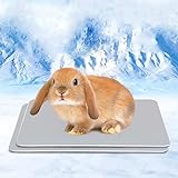 HZxoAxo 2PCS Rabbit Cooling Pad - 11.8 x 7.9 in,Self Cool Bite Resistance Bunny Cooling Mat Ice Bed for Small Animals Hamster Guinea Pig Chinchilla Kitten Puppy