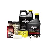 Briggs and Stratton 84002316 Commercial Series Maintenance Kit, Multiple