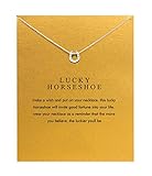 Baydurcan Horseshoe Necklace Horseshoe Pendant Chain Necklace with Message Card Gift Card (horseshoe s)