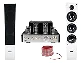 Rockville BluTube SG Bluetooth Tube Amplifier/Home Receiver + (2) Tower Speakers