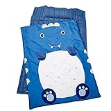 Izari Kids Nap Bed Blanket Pillow Set Easy Clean for Preschool, Kindergarden, Daycare, Travel (D-Blue)