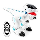 Boley RC Dinosaur Robot - Infrared Remote Control Dinosaur T-Rex Toy Robot with Mist, Music, and Lights - Kids Robotic Dinosaurs Toys for Boys and Girls