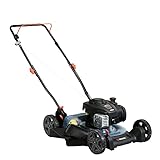 SENIX Gas Lawn Mower, 21-Inch, 125 cc 4-Cycle Briggs & Stratton Engine, 2-in-1 Push Lawnmower Mulch and Side Discharge, 6-Position Height Adjustment, 8-Inch Wheels, LSPG-M3, Blue