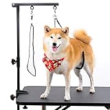 Breeze Touch Dog Grooming Table Arm - 35' Dog Grooming Stand with Clamp and Post, Loop Noose, No Sit Haunch Holder Grooming Restraint for Small & Medium Dogs