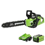 Greenworks 40V 14' Chainsaw, 2.5Ah USB Battery and Charger Included