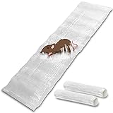 Kat Sense Sticky Rat Traps 'N Mouse Glue Traps That Work for Trapping Snakes Spiders Roaches N Other Rodents, 2 XL Large Heavy Duty Clear Pre Baited Mats, Indoor Outdoor Non Multi Catch Pest Trap