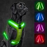 KOSKILL Light Up Dog Harness,Led Dog Harness Rechargeable,Lighted Dog Harness Glow in The Dark, LED Dog Vest Reflective,Light Up Harness for Dogs,Dog Lights for Night Walking (Green, M)
