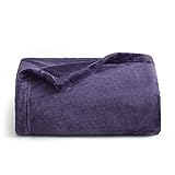 Bedsure Fleece Blanket Throw Blanket Purple - 300GSM Throw Blankets for Couch, Sofa, Bed, Soft Lightweight Plush Cozy Blankets and Throws for Toddlers, Kids