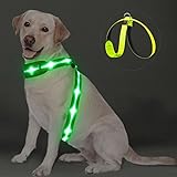 PZRLit LED Light Up Dog Vest Harness Rechargeable, Soft Padded, Adjustable & Reflective Lighted Dog Harness Waterproof, Glow Dark Dog Light Harness for Camping Night Safety Walking, Large Green