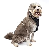Kurgo Dog Harness | Car Harness for Dogs | Extra Large | Black | Pet Safety Seat Belt | Certified Crash Tested Harness | Car Seatbelt | Tru-Fit Enhanced Strength Style