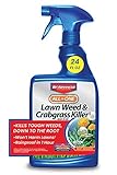 BioAdvanced All-In-One Lawn Weed and Crabgrass Killer I, Ready-to-Use, 24 oz