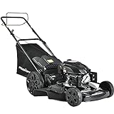 PowerSmart 22 in. 200cc Single Speed High Wheel RWD 3-in-1 Walk Behind Self Propelled Gas Lawn Mower