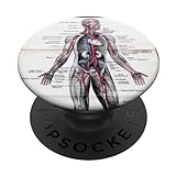 Medical Nursing Student Anatomy Chart PopSockets PopGrip: Swappable Grip for Phones & Tablets PopSockets Standard PopGrip