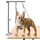 Petbobi Foldable Dog Grooming Arm, Dog Grooming Arm with Clamp, Dual No Sit Haunch Holder & Grooming Loop, Height Adjustable 22.1 to 38 inches, Strong Stainless Steel for Medium Small Pets, Silver