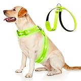 KOSKILL Light Up Dog Harness, Led Dog Harness Rechargeable, Lighted Dog Harness Glow in The Dark, LED Dog Vest Reflective, Light Up Harness for Dogs, Dog Lights for Night Walking… XL