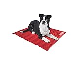 Coleman Comfort Cooling Gel Pet Pad Mat in Small 12x16, For Small Pets (Red)