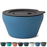 RIGWA Stainless Steel Insulated Food Container - Hot and Cold Insulated Bowl - Vacuum Sealed Containers for Food - Bowls with Lids, 40oz, Blue