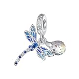 RUKYF 925 Sterling Silver Dragonfly Charms for Bracelet and Charm Necklaces,Womens Bead Charms for Jewelry Making Gift for Women Girls,Valentines Day, Christmas Day,Graduations,Birthday and Anniversary Day