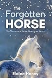 The Forgotten Horse - Book 1 in the Connemara Horse Adventure Series for Kids. The perfect gift for children age 8-12. (Connemara Adventures)