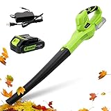 Cordless Leaf Blower, 21V Handheld Electric Leaf Blower with 2.0Ah Battery & Fast Charger, 6 Speed Mode, Lightweight Battery Powered Leaf Blowers for Patio, Yard, Sidewalk