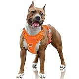 BARKBAY No Pull Dog Harness Large Step in Reflective Dog Harness with Front Clip and Easy Control Handle for Walking Training Running with ID tag Pocket(Orange,L)