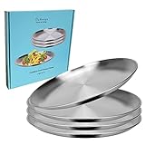 Dakneys Home & Living Stainless Steel Dinner Plates, Set of 4, 10-inch, Metal Plates for Eating, Camping, Adults and Kids,18/8 (304), Brushed (Matte Surface), Lightweight, Easy to Clean