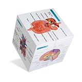 kaitnax Human Anatomical Poster Set Anatomy Study Cube Medical Student Learning Tool Anatomy Chart Set, 9 Parts Anatomy Heart, Muscular, Skeletal, Digestive, Circulatory etc. Gift Package 3.9'X3.9'