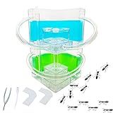 EXBEPE Ant Farm for Kids Large 2 Layer Gel Ant Colony Ecosystem Terrarium, Ant Habitat Science Learning Kit(with No Ant)